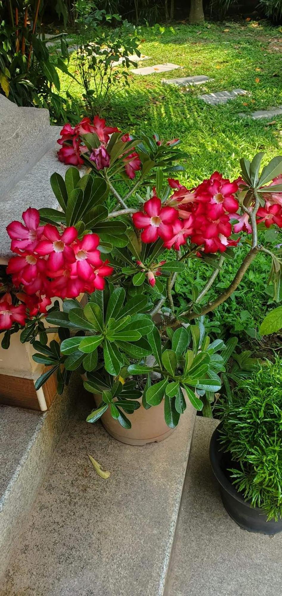 Sanskriti Bed and Breakfast Thiruvananthapuram Εξωτερικό φωτογραφία